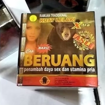 

Beruang asli