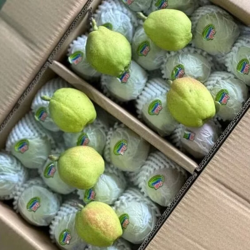

Pear Xiangli