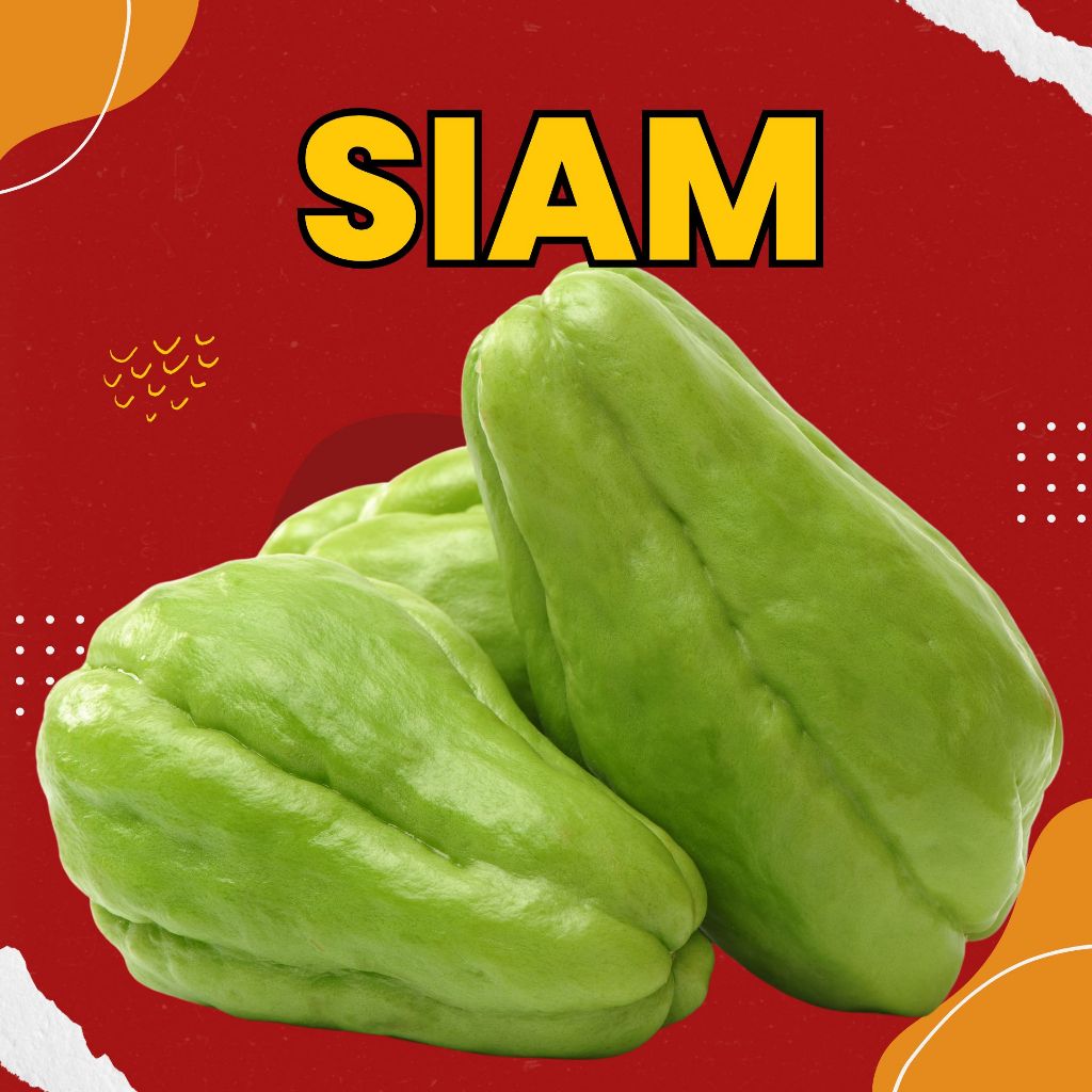 

LABU SIAM / WALUH / 1 KG