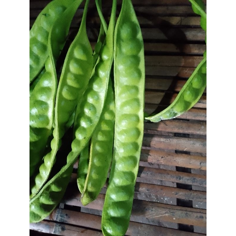 

buah petai satu papan