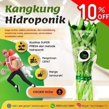 

Kangkung Hidroponik Sayuran Murah 200 gr