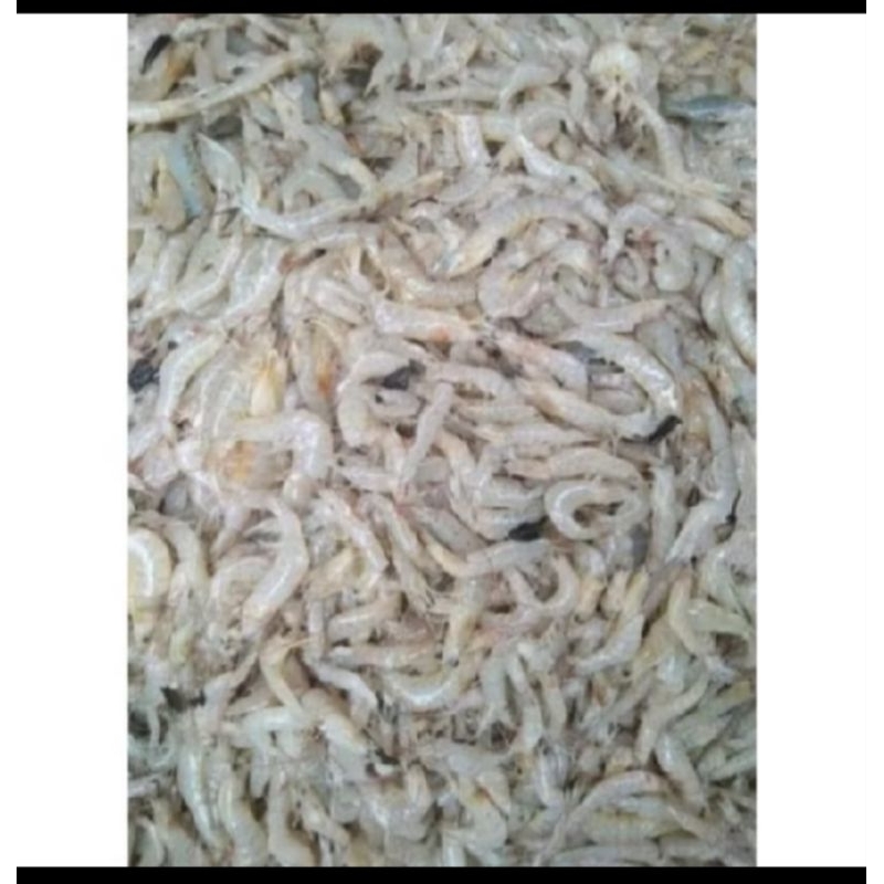 

udang kecil 500gram