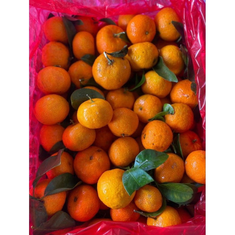JERUK SANTANG MADU 1KG