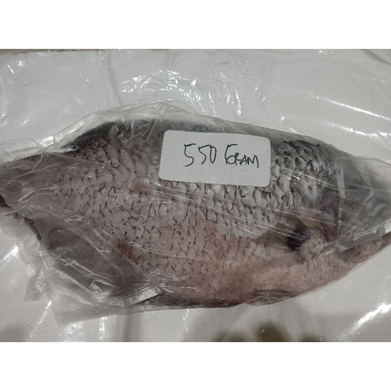 

IKAN GURAME 1 EKOR BERAT 5,5 ons