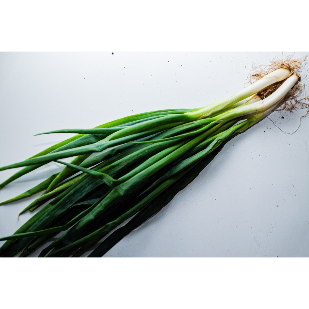 

Daun bawang hijau segar 250gram