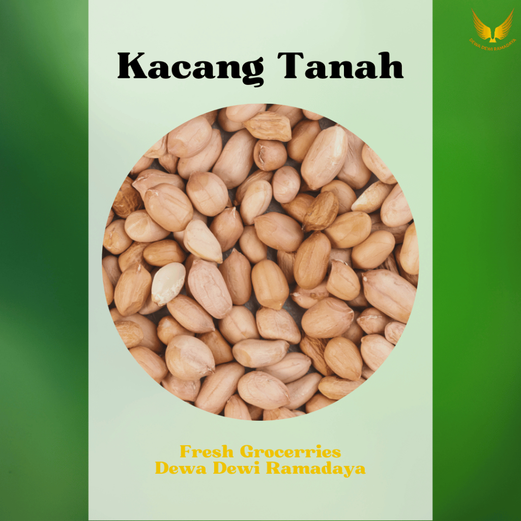 

Kacang Tanah Dewa Dewi Rama Daya