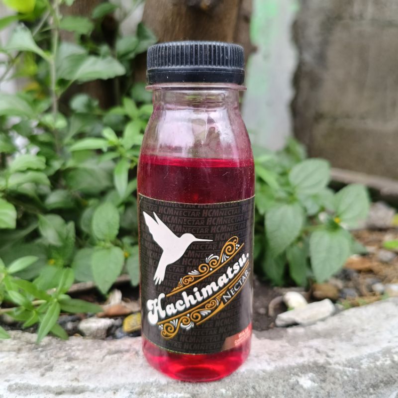 Nektar Hachimatsu Untuk Burung Pleci Konin Sogok Ontong Prenjak