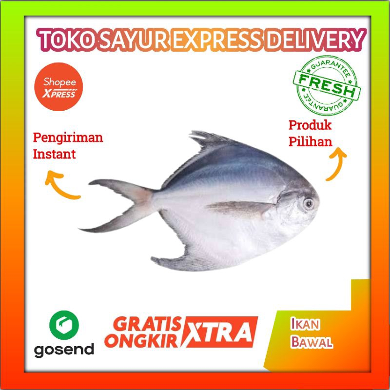 

Ikan Bawal Laut - Sayur Express Palembang