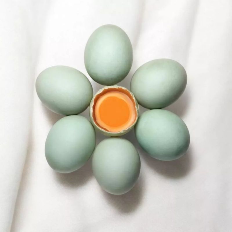 

TELUR ASIN MASIR PREMIUM