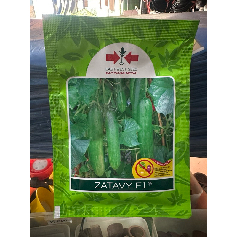 Benih Mentimun Zatavy F1
