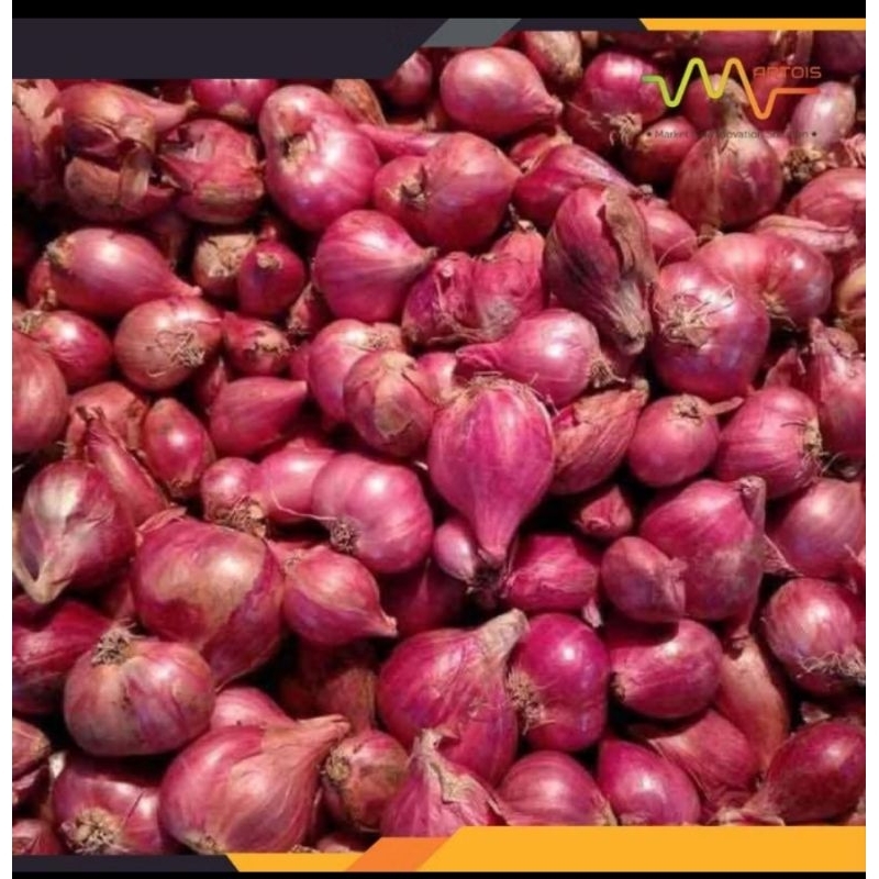 

BAWANG MERAH SUPER 1KG MURAH