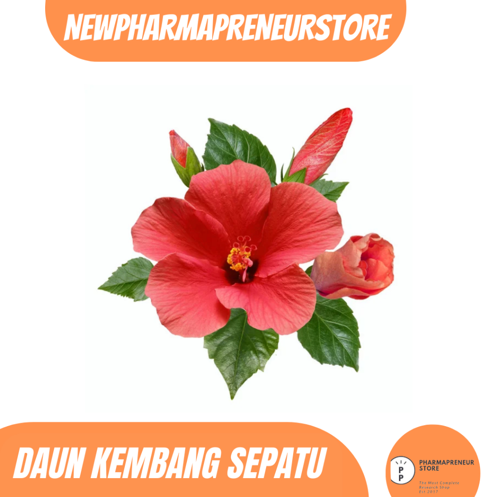 

DRIED SERBUK DAUN KEMBANG SEPATU BEST QUALITY