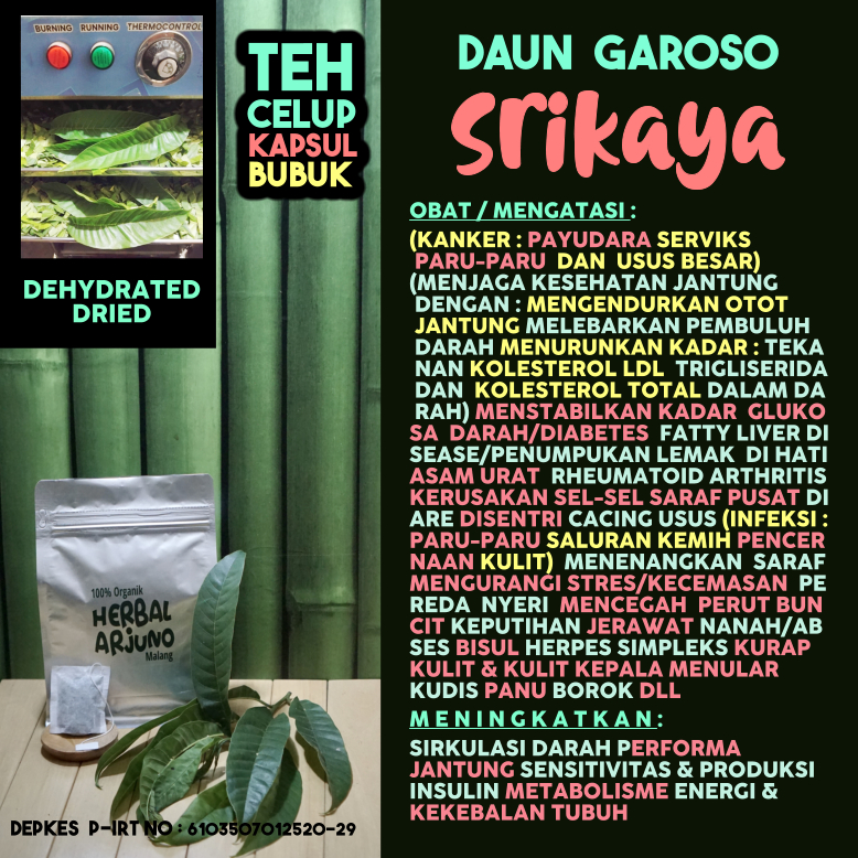 

Dehydrated Dried Teh Celup Kapsul Bubuk Daun Srikaya Garoso Obat Kanker Paru-Paru Payudara Serviks Usus Besar Liver Keputihan Saraf Infeksi Diabetes Hipertensi Kolesterol Trigliserida Rheumatoid Arthritis Asam Urat Perut Buncit Herpes Cacing Herbal Alami