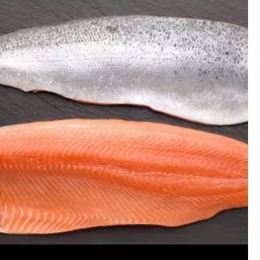 

fillet ikan salmon trout salmon 1 kg murah banget