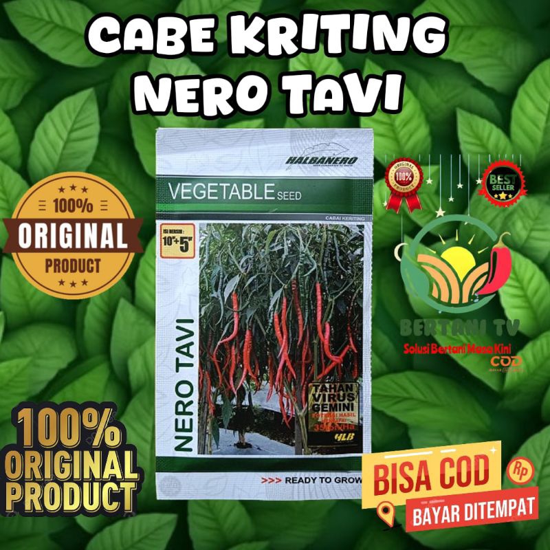 

NERO TAVI kmsn 10 gr cabe keriting tahan gemini virus dan hama kutu kebul. berat 15 gram isi 2000 butir DESKRIPSI Asal : Koleksi pribadi (PT.Halbanero) Silsilah : HLB 31-41-CK-118