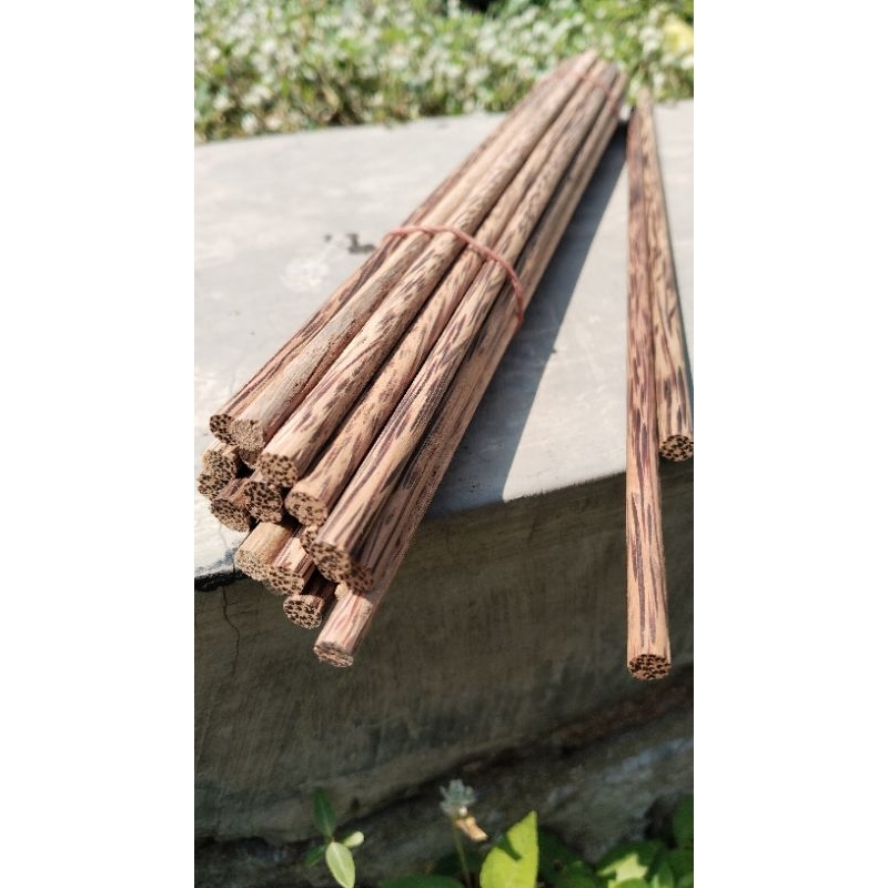 Tangkringan burung konin sogon tangkringan kelapa halus