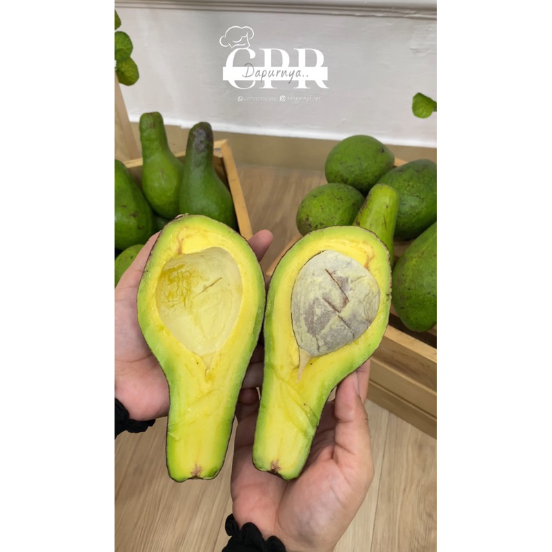 

Alpukat Mentega 1kg isi 2-3 | Ukuran Medium | Alpukat Super | Alpukat MPASI | Alpukat Bogor