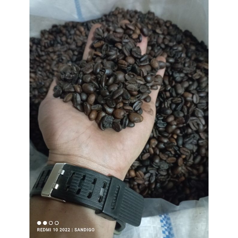 

roasted beans arabika robusta