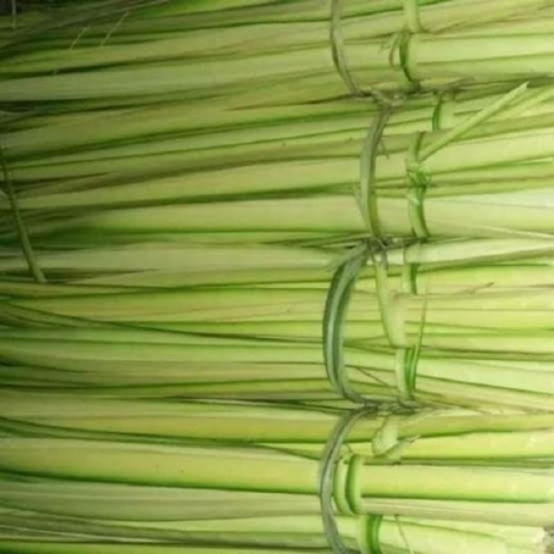 

daun kelapa ,janur kuning ,janur ketupat 15 pcs
