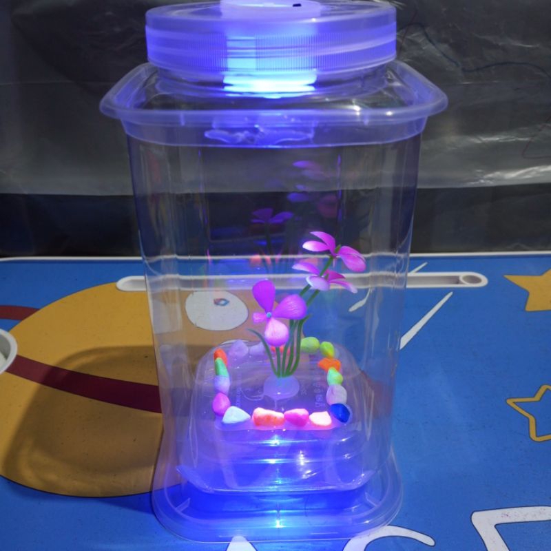 Aquarium Mini Ikan Cupang Hias bentuk Persegi Unik Estetic