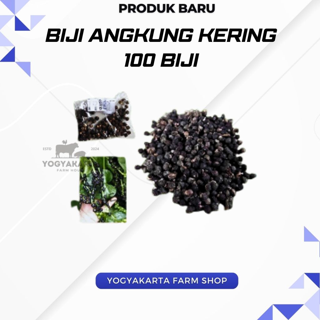 

Angkung Kering - Biji Angkung Kering Isi 100 Biji