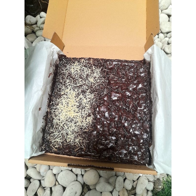 

Fudgy Brownies - Brownies panggang