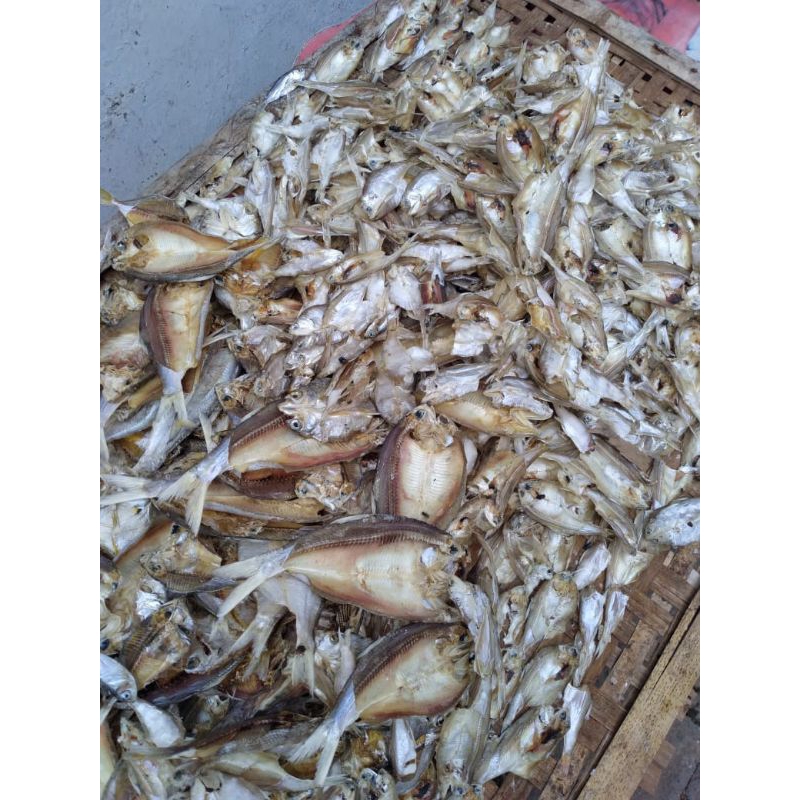 

IKAN ASIN BULU AYAM/BELEKAN/LEMPOK KECIL