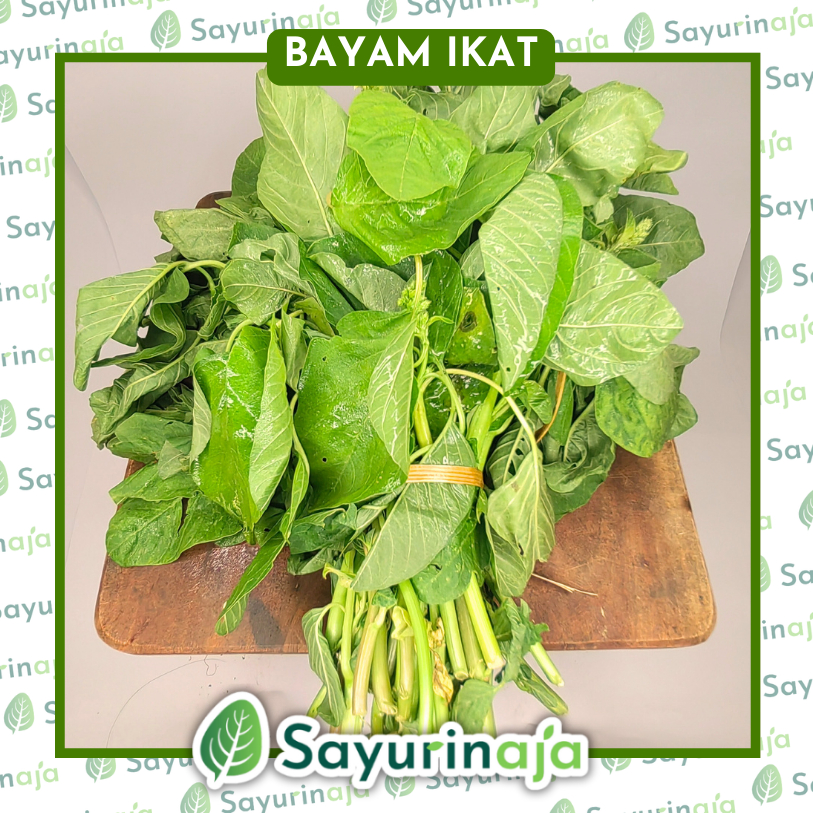 

Bayam Segar | Sayuran Praktis Jogja | SayurinAja!