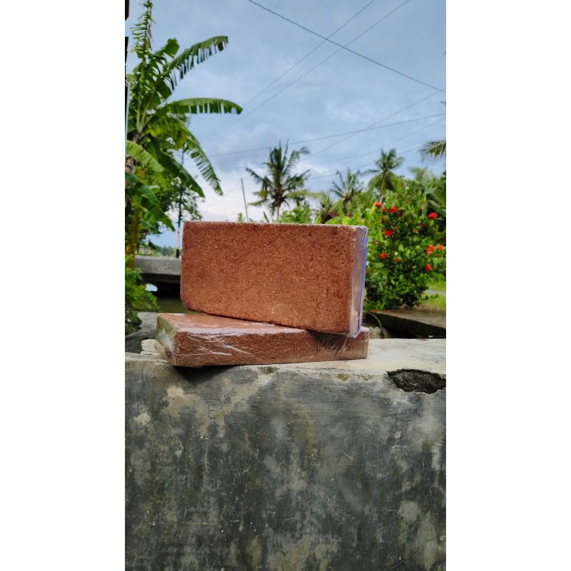Cocopeat-cocopeat block 1 kg-media tanam