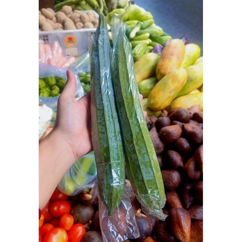 

Oyong 5ribu 2batang
