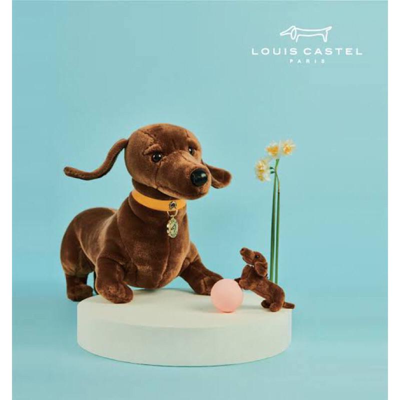 Louis Castel Dachshund