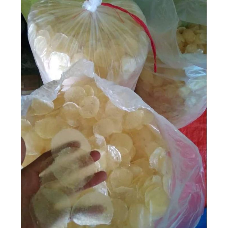 

keripik kaca mentah