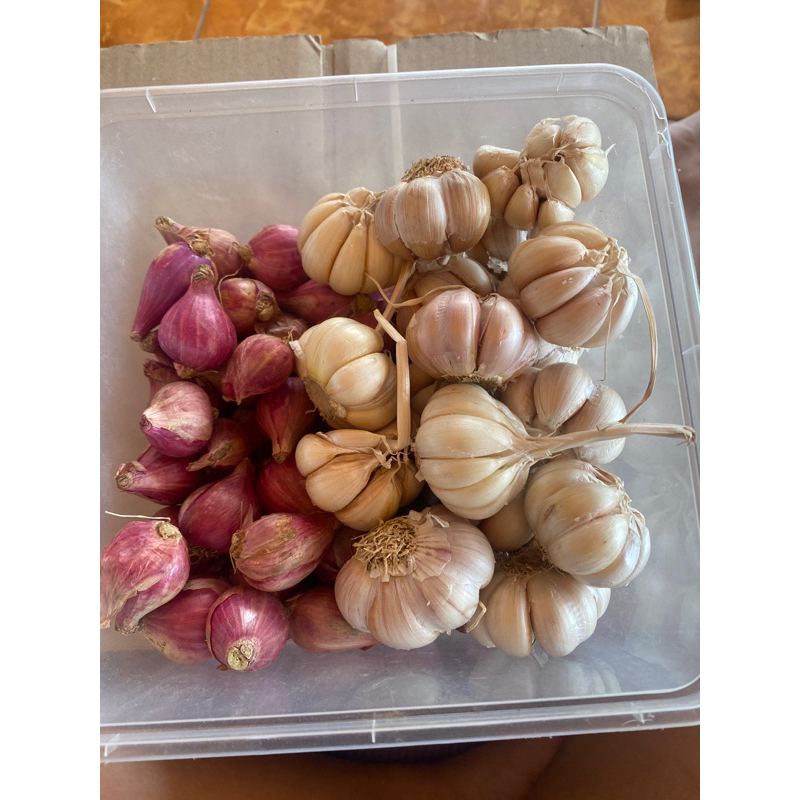 

Bawang merah dan bawang putih 1kg campur