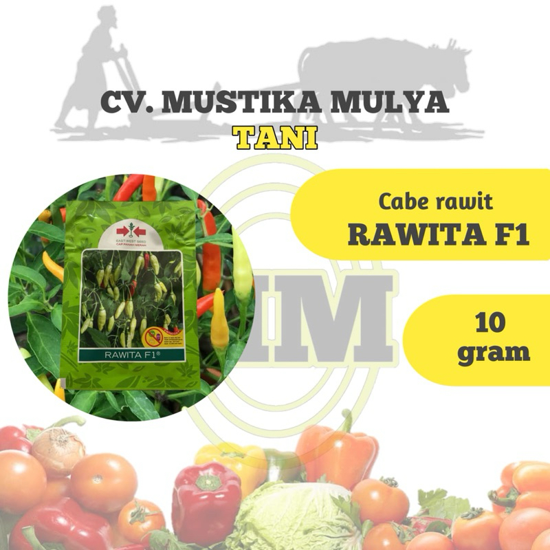 BENIH CABE RAWIT ( RAWITA F1 ) CAP PANAH MERAH