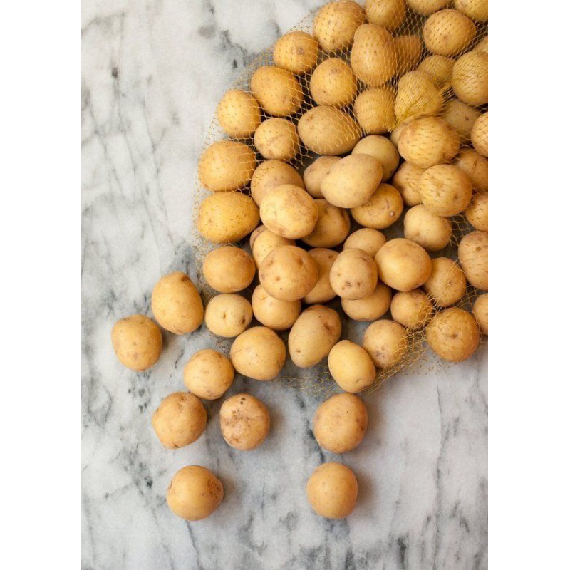 

baby potato/kentang kecil 500gr
