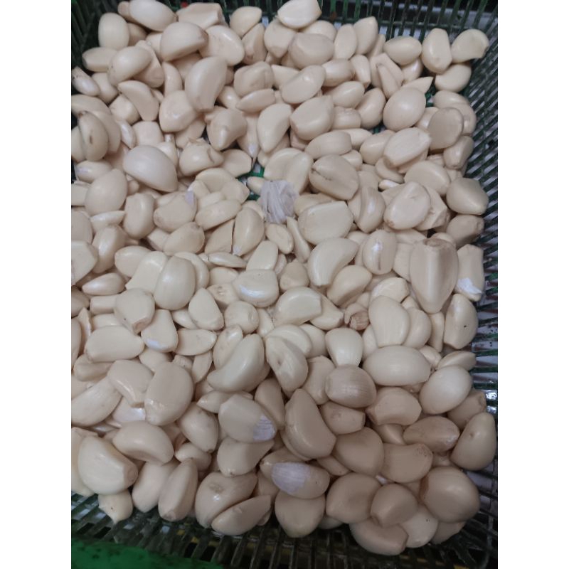 

bawang putih kupas segar 100gr
