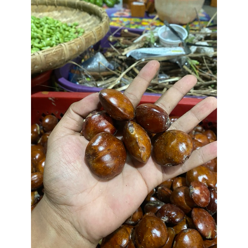 

jengkol Wonogiri 1 kg tua