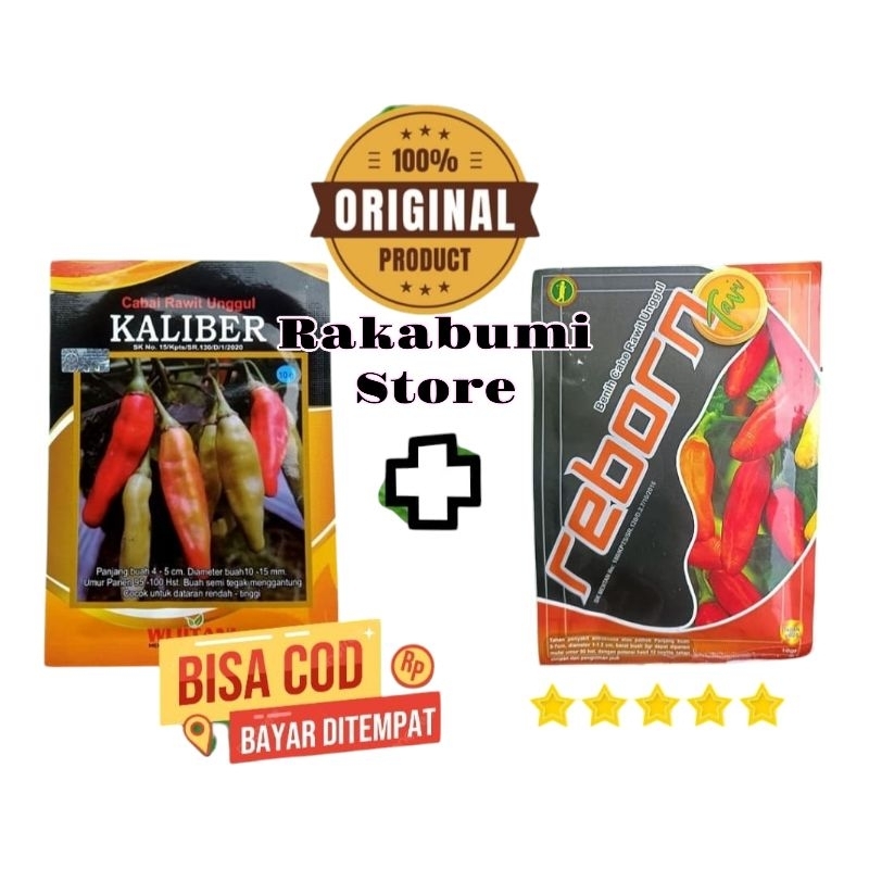 benih cabe rawit unggul KALIBER + REBORN TAVI