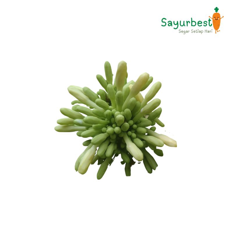 

Bunga Pepaya 250 Gram