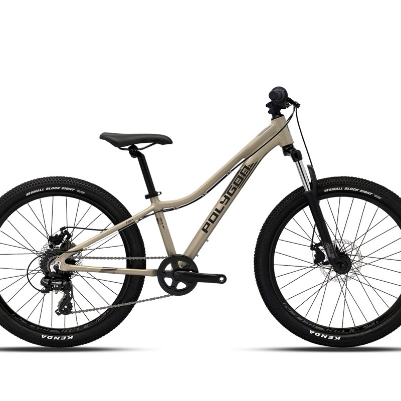 Sepeda Gunung MTB 24 Inch Polygon Relic