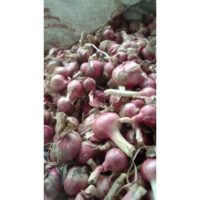 

bawang merah/sudah kering