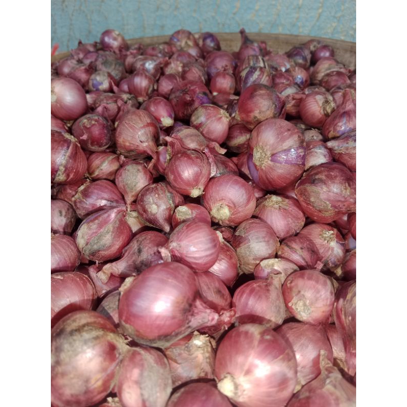 

bawang merah lokal bali karet 500gram