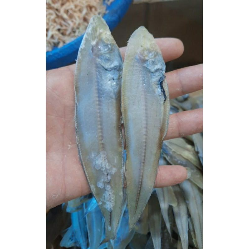 

Ikan Lidah asin 500gr