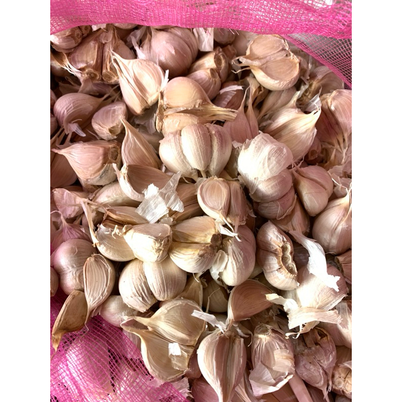 

BAWANG PUTIH KATING BERSIH 1KG TERMURAH