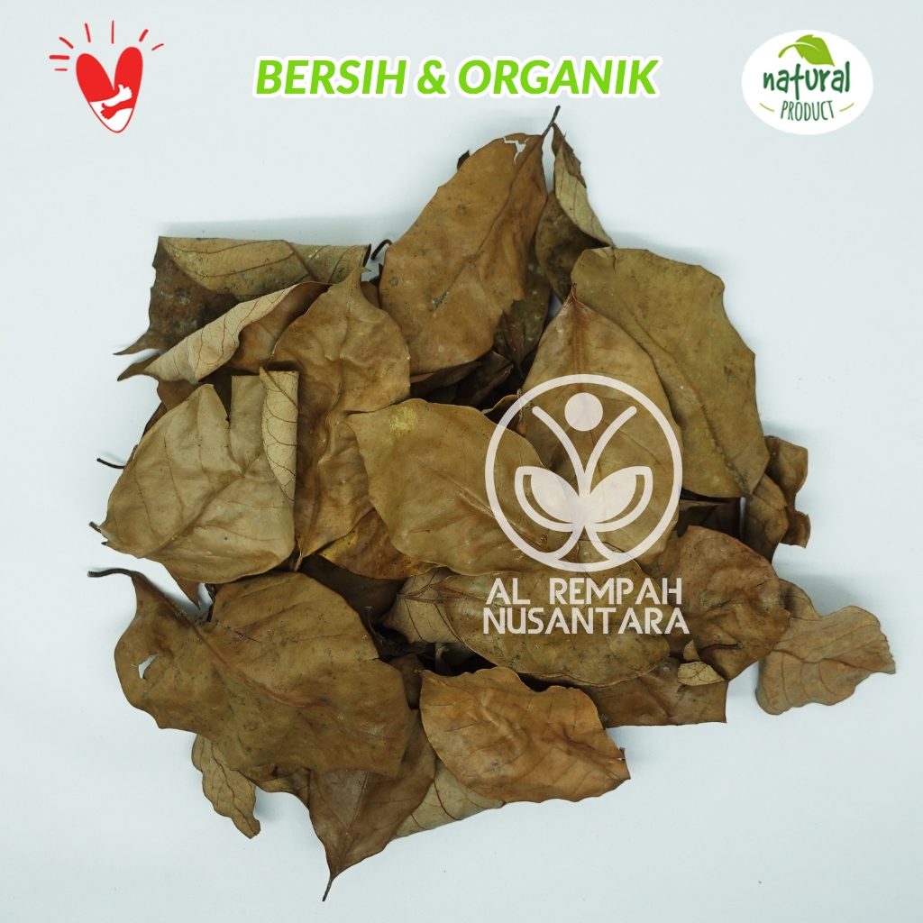 

Daun Pala Kering 1kg Kualitas Super Bersih dan Organik