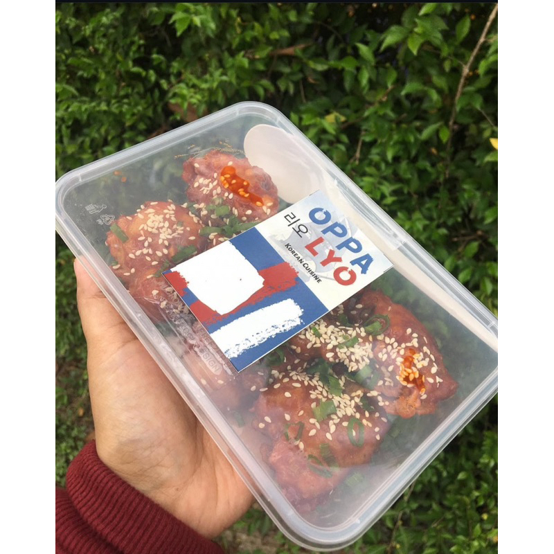 

AYAM DAKGANGJEONG OPPA LYO