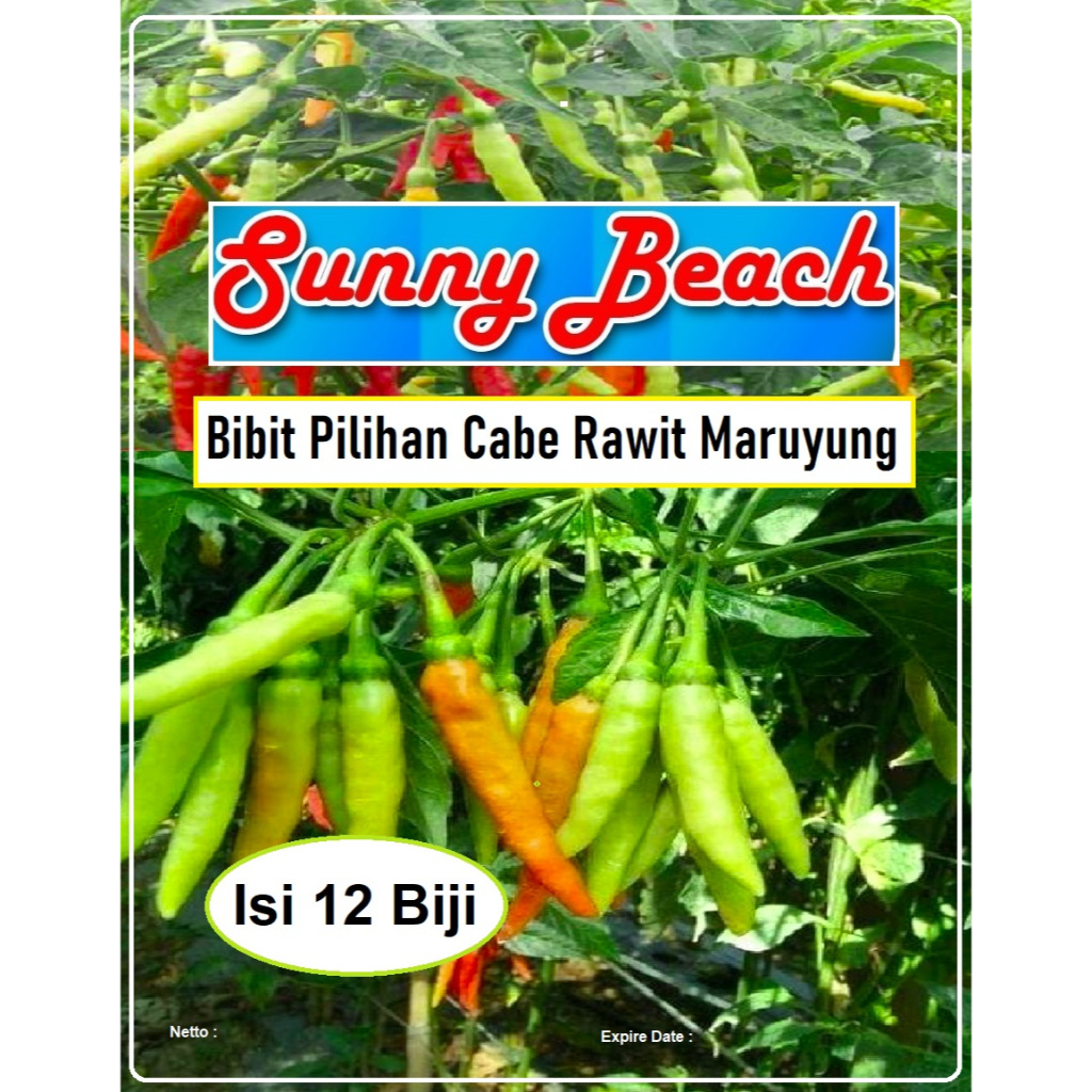 Bibit Pilihan Cabe Rawit Maruyung | Biji Benih Cabe Rawit Maruyung