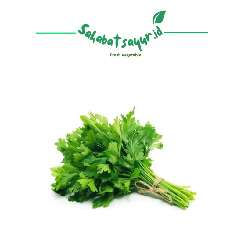 

Daun seledri Fresh / Per pack -Surabaya