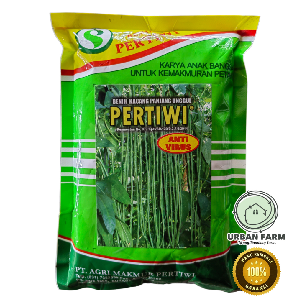 Benih Kacang Panjang PERTIWI 500gr - Benih Kacang Panjang Unggul Pertiwi