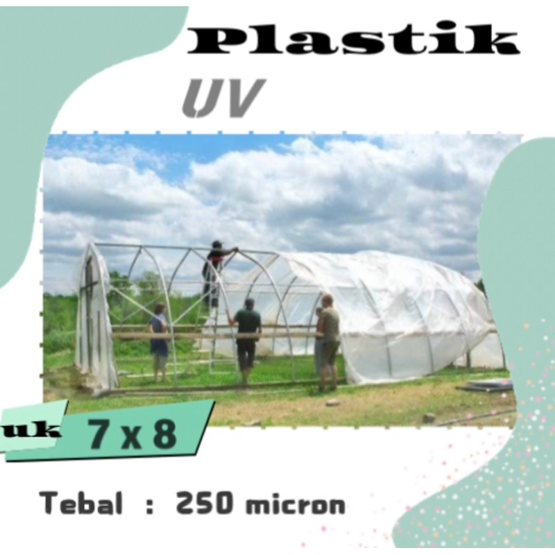 PLASTIK UV 7 x 8m TEBAL 250micron